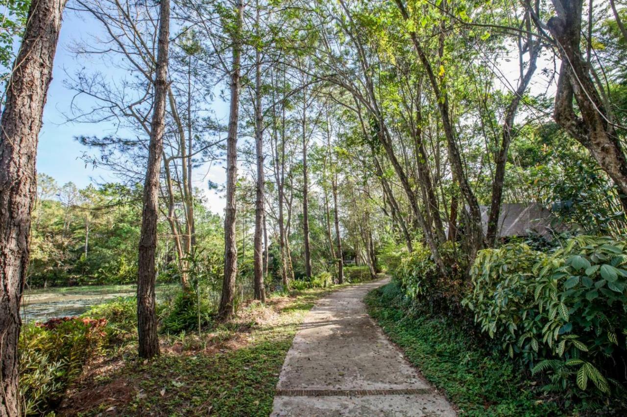 Khaokhoherbary Organicfarm&Resort Кхао-Кхо Экстерьер фото