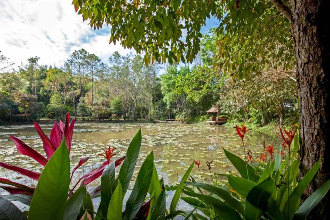 Khaokhoherbary Organicfarm&Resort Кхао-Кхо Экстерьер фото