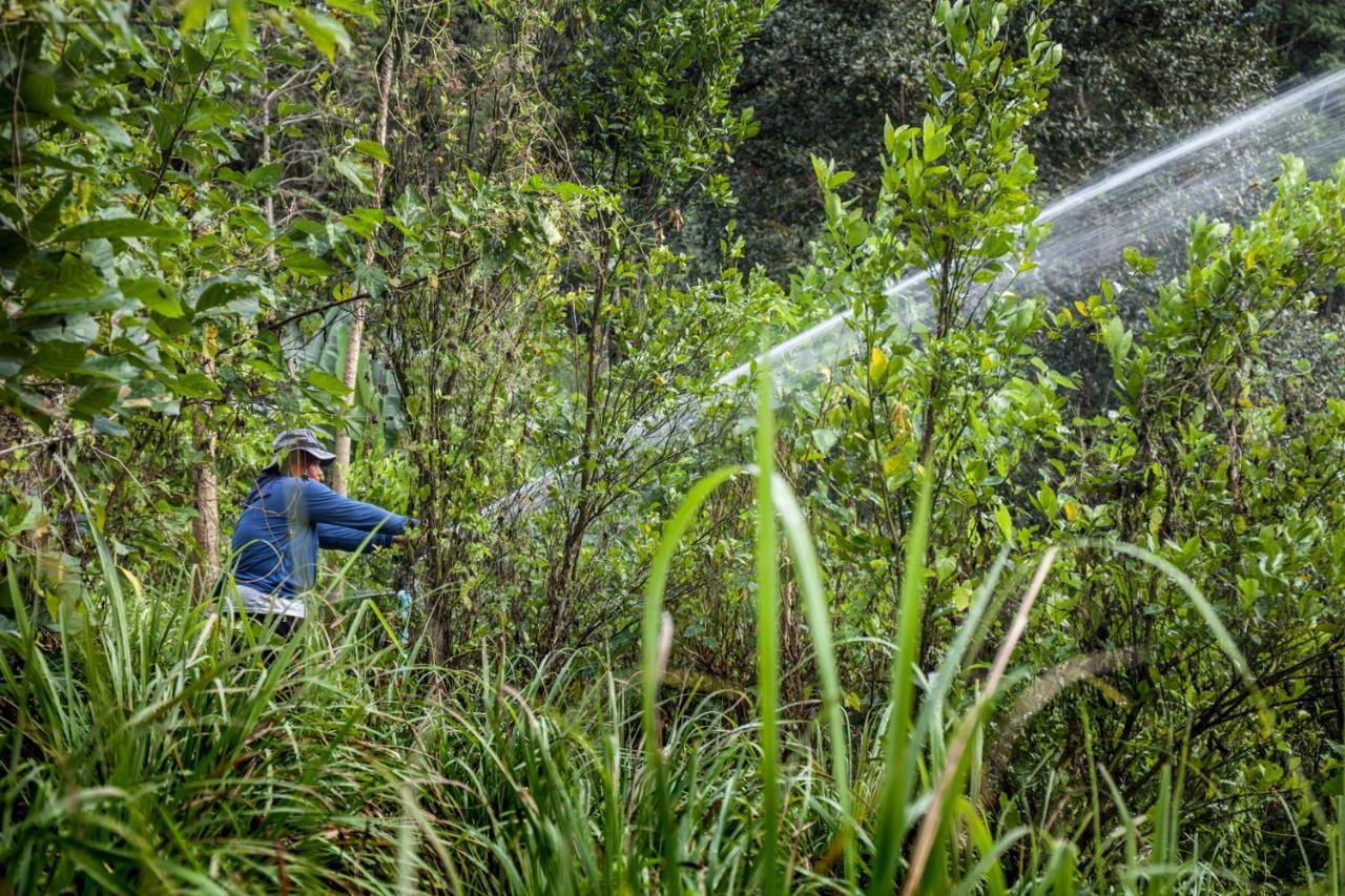 Khaokhoherbary Organicfarm&Resort Кхао-Кхо Экстерьер фото