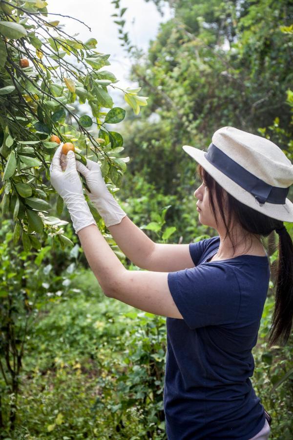 Khaokhoherbary Organicfarm&Resort Кхао-Кхо Экстерьер фото